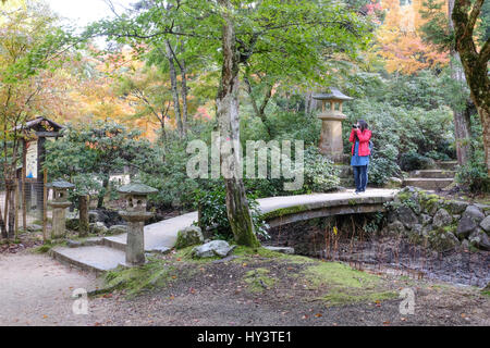 Rote Brücke & japanische Laterne, Herbst, japanische Gärten, Co Kildare