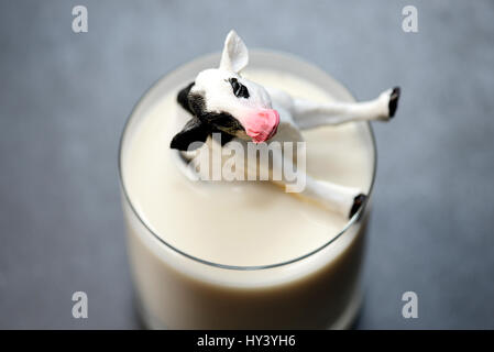 Miniatur-Kuh versinkt in einem Glas Milch, niedrige Milchpreise, Miniaturkuh Versinkt in Einem Milchglas, Niedrige Milchpreise Stockfoto