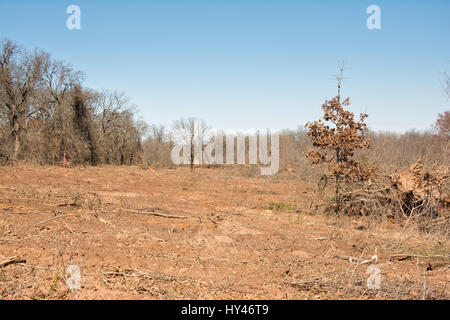 Schäden Sie in der Natur nach Bulldozer Bäume aus dem Bereich Stockfoto