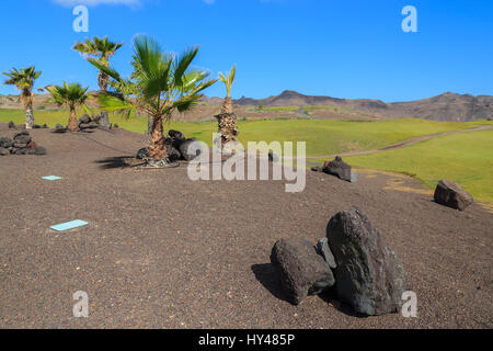 Vulkangestein und Palmen auf einem Golfplatz in Las Playitas Stadt, Fuerteventura, Kanarische Inseln, Spanien Stockfoto