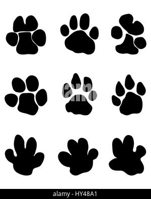 Schwarze Spuren der Nilpferd auf weißem Hintergrund Stockfoto