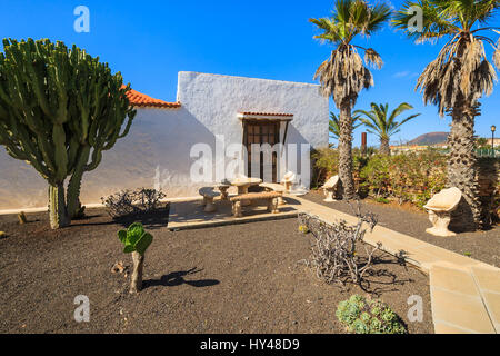 Gebäude im kanarischen Stil und tropischen Pflanzen in La Oliva Village Erbe Art Center, Fuerteventura, Kanarische Inseln, Spanien Stockfoto