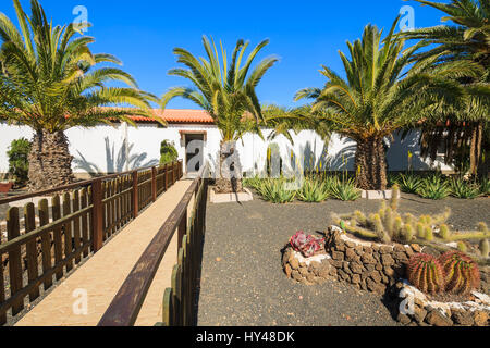 Gebäude im kanarischen Stil und tropischen Pflanzen in La Oliva Village Erbe Art Center, Fuerteventura, Kanarische Inseln, Spanien Stockfoto