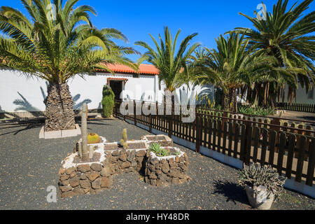 Gebäude im kanarischen Stil und tropischen Pflanzen in La Oliva Village Erbe Art Center, Fuerteventura, Kanarische Inseln, Spanien Stockfoto
