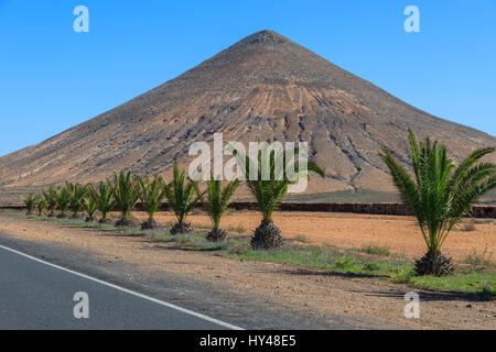 Straße mit Palmen und Vulkan-Berg im Hintergrund in La Oliva Village, Fuerteventura, Kanarische Inseln, Spanien Stockfoto