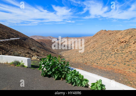 Sicht und vulkanischen Berge Landschaft Fuerteventuras zwischen Betancuria und Pajara, Kanarische Inseln, Spanien Stockfoto