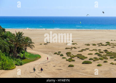 Palmen am Strand in der Nähe Costa Calma Jandia Peninsula, Fuerteventura, Kanarische Inseln, Spanien Stockfoto