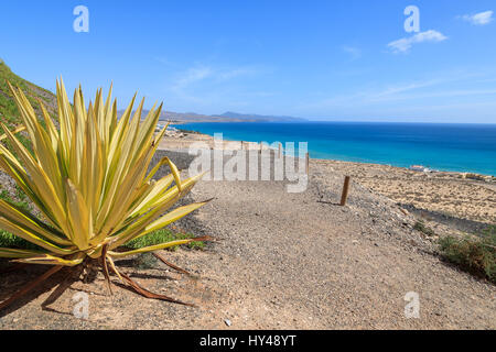 Küstenweg entlang Ozean in der Stadt der Costa Calma, Jandia Peninsula, Fuerteventura, Kanarische Inseln, Spanien Stockfoto