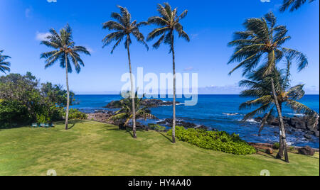 Luftbild von Palmen und Strand auf der North Shore von Oahu Hawaii Stockfoto