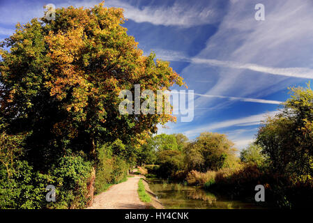 Blauer Himmel und Herbstlaub entlang eines alten Kanals. Stockfoto