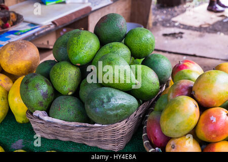 Hawaii Bauernmarkt mit Avocado und Mango neben anderen tropischen Früchten aus dieser paradiesischen Insel. Stockfoto