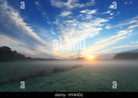 Morgensonne über nebligen Wiese. Saubere transparent Luft über grüne Wiese. Weiße flauschige Wolken am Morgen durch die aufgehende Sonne beleuchtet. Stockfoto