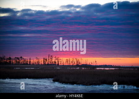 Sonnenaufgang über Gezeiten Feuchtgebiete, Blackwater National Wildlife Refuge, Cambridge, Maryland Stockfoto