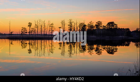 Suset am Blackwater River, Blackwater NWR, Cambridge, Maryland Stockfoto