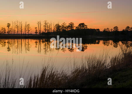 Suset am Blackwater River, Blackwater NWR, Cambridge, Maryland Stockfoto