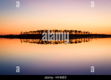 Suset am Blackwater River, Blackwater NWR, Cambridge, Maryland Stockfoto