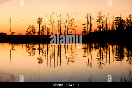 Suset am Blackwater River, Blackwater NWR, Cambridge, Maryland Stockfoto