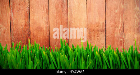 Grass wachsen im freien gegen Holzverkleidung Stockfoto