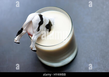 Miniatur-Kuh versinkt in einem Glas Milch, niedrige Milchpreise, Miniaturkuh Versinkt in Einem Milchglas, Niedrige Milchpreise Stockfoto