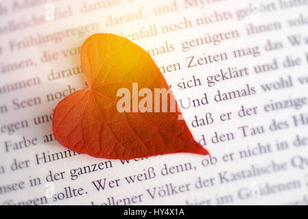 Herzförmiges Blatt auf einer Buchseite, Herzfoermiges Blatt Auf Einer Buchseite Stockfoto