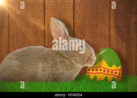 Seitenansicht des niedlichen brauner Hase aus Holz Hintergrund Stockfoto