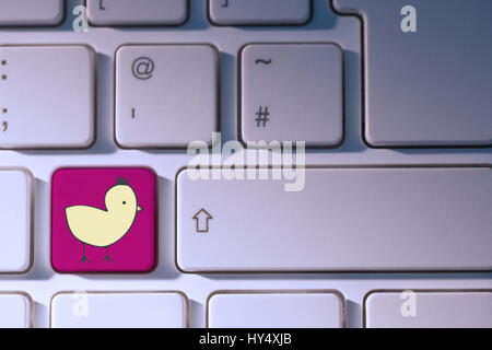 PE047 easter 01 bs nf gegen rosa Taste auf der Tastatur Stockfoto