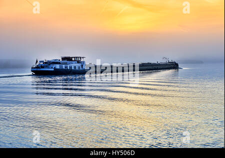 Binnenschiff mit Nebel auf der Elbe in Kirchwerder, Hamburg, Deutschland, Europa, Binnenschiff Bei Nebel Auf der Elbe in Kirchwerder, Deutschland, Europa Stockfoto