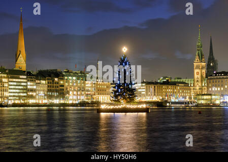 Alster-Tanne an der Binnenalster in Hamburg, Deutschland, Europa, Alstertanne Auf der Binnenalster in Hamburg, Deutschland, Europa Stockfoto