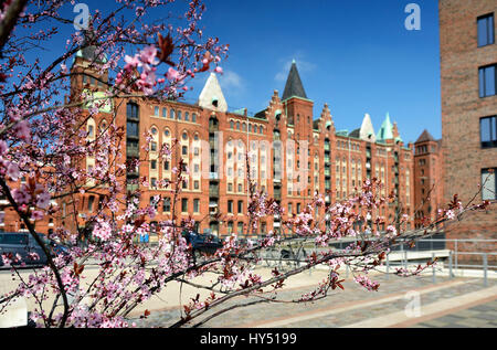 Dar-es-Salaam-Platz in der Hafenstadt Hamburg, Deutschland, Europa, Dar-es-Salaam-Platz in der Hafencity von Hamburg, Deutschland, Europa Stockfoto