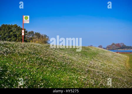 Bushaltestelle am Kraueler wichtigsten Deich in Kirchwerder, Hamburg, Deutschland, Europa, Bushaltestelle bin Kraueler Hauptdeich in Kirchwerder, Deutschland, Europa Stockfoto