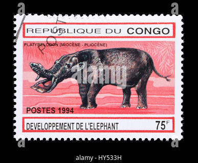 Briefmarke aus dem Kongo, die Darstellung eines platybelodon Stockfoto