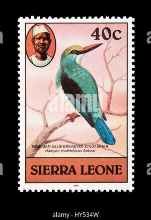 Briefmarke aus Sierra Leone Darstellung einer nigerianischen blau breasted Kingfisher (Halcyon Malimbica) Stockfoto
