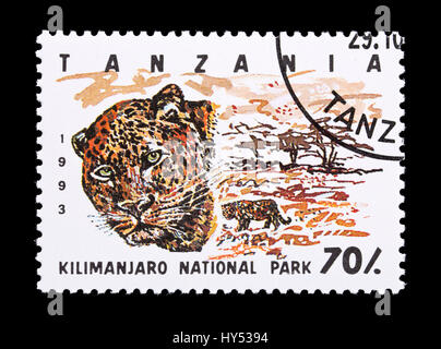 Briefmarke aus Tansania, die Darstellung eines Leoparden im Kilimanjaro National Park. Stockfoto