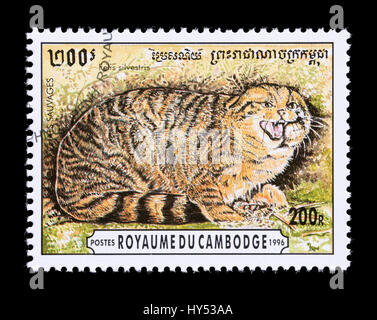 Briefmarke aus Kambodscha Darstellung eine afrikanische Wildkatze (Felis Silvestris), Stockfoto