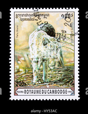 Briefmarke aus Kambodscha Darstellung eine afrikanische Wildkatze (Felis Silvestris Lybica), Stockfoto