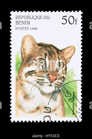 Briefmarke aus Benin Darstellung eine asiatische goldene Katze (Pardofelis Temminckii Temminckii) Stockfoto