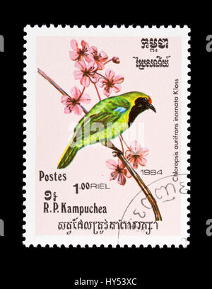 Briefmarke aus Kambodscha (Kampuchea) Darstellung einer Golden-fronted Leafbird (Chloropsis Aurifrons) Stockfoto