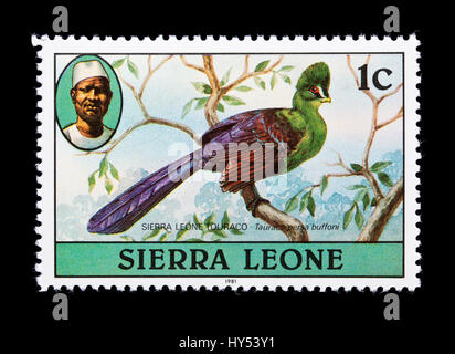 Briefmarke aus Sierra Leone Darstellung einer Sierra Leone Touraco oder Buffons Touraco (Tauraco Corythaix Buffoni) Stockfoto