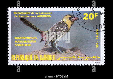 Briefmarke aus Dschibuti Darstellung gelb-breasted Barbet (Trachyphonus Margaritatus) Stockfoto