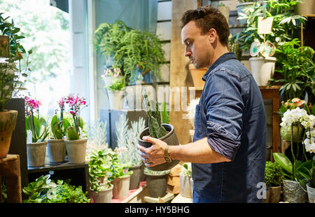 Schweden, arbeiten im Blumenladen Blumengeschäft Stockfoto