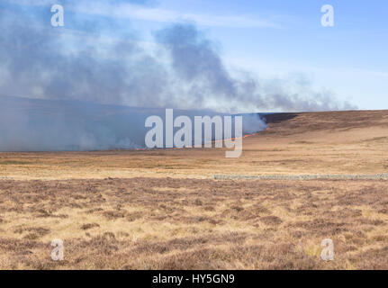 Kontrollierte Verbrennung von wild Heather auf moorland Stockfoto