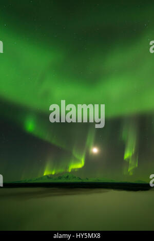 Polarlicht über der Copper River und die fernen Gipfel des Wrangell Mountains, linke Mount Sanford Fass und richtige Mount Wrangell Stockfoto
