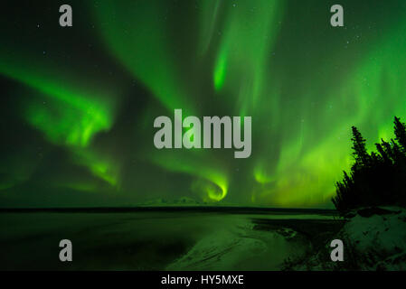 Polarlicht über der Copper River und die fernen Gipfel des Wrangell Mountains, linke Mount Sanford Fass und richtige Mount Wrangell Stockfoto