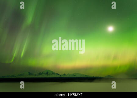 Aurora und der Mond über dem Nebel gehüllt Copper River, links rechts Wrangell, Wrangell Mountains, Mount Sanford Trommel, Alaska Stockfoto