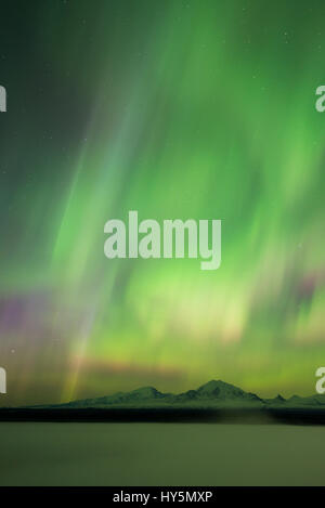 Aurora über dem Nebel gehüllt, Copper River und Reittiere Sanford Drum und Wrangell, Wrangell Mountains, Alaska Stockfoto