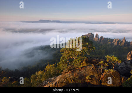 Dichter Nebel, morgen Atmosphäre, Blick von der Kette Aussicht auf Elbtal in der sächsischen Schweiz, Sächsische Schweiz Stockfoto
