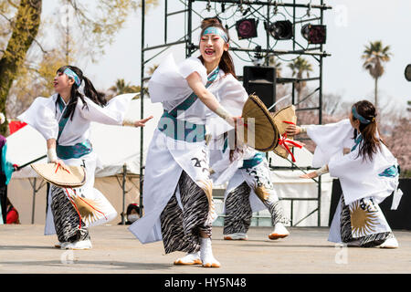 Japan, Kumamoto, Hinokuni Yosakoi Dance Festival. Frau Tänzerinnen in weißen Yukata und blauer Kopf-Band, holding Strohhüte Farmer's, Tanzen auf der Bühne. Stockfoto