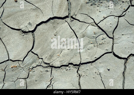 natürlichen Hintergrund der gerissenen Schlamm an einem Strand der Westküste Stockfoto