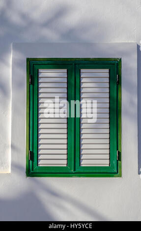 Sonne auf hübsche Vintage hölzernen Fensterläden lackiert grün-weißen gegen die raue Textur einer weiß getünchten Wand Stockfoto