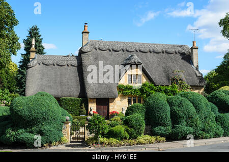 Eine englische strohgedeckten Hütte gebaut aus Cotswold Stein mit einer schönen Hecke im Garten in Chipping Campden, Cotswolds, England, UK. Stockfoto